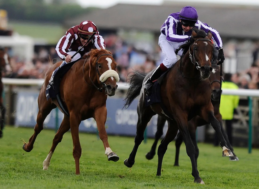 Horse Racing